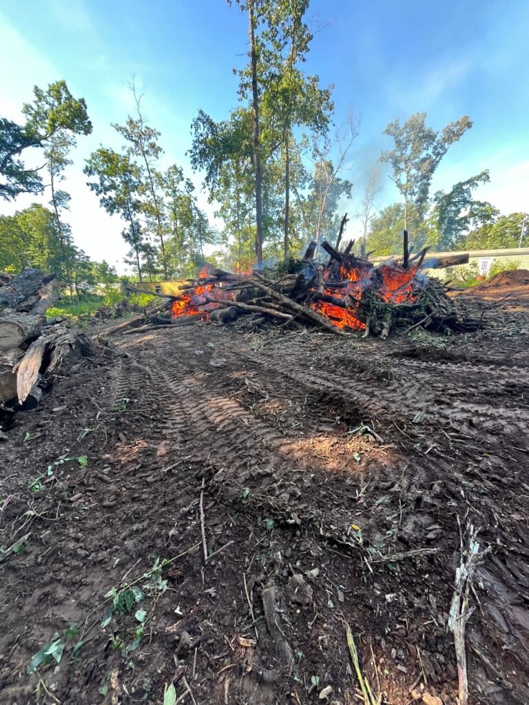 Land clearing and excavation
